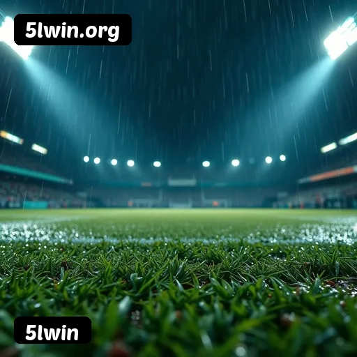 6 vantagens exclusivas do programa VIP da 5lwin